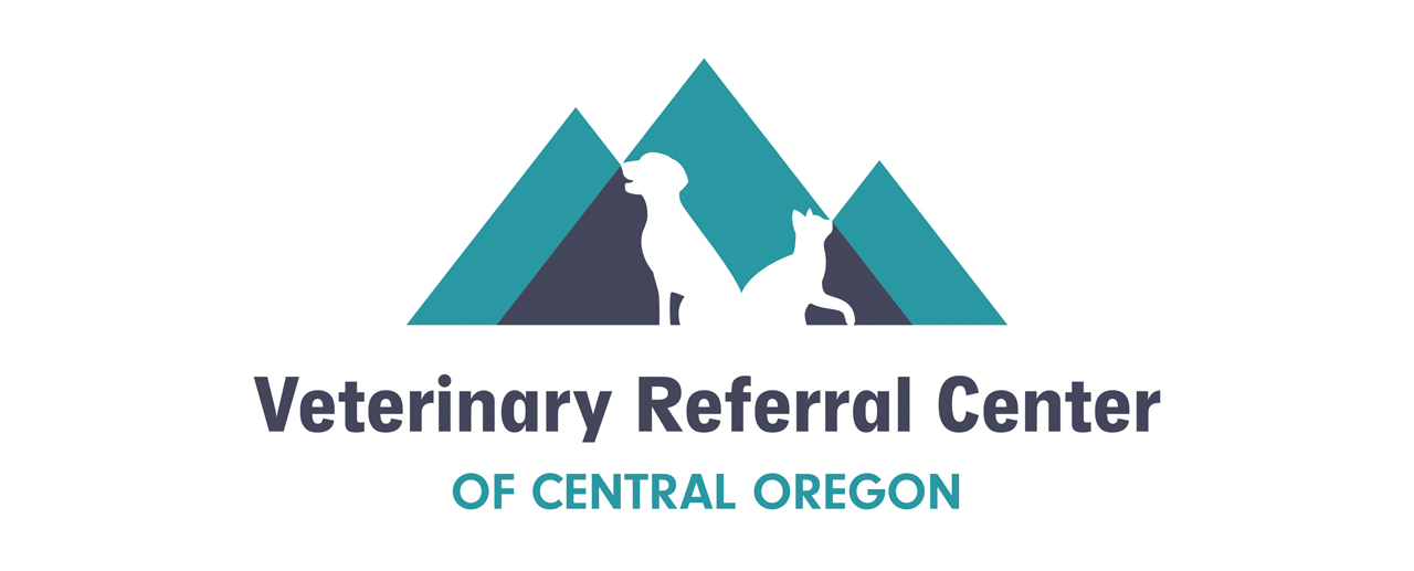 Sponsors_Bronze_VRC_1280x517